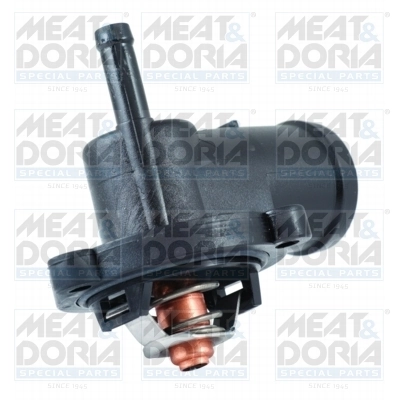 Thermostat, coolant